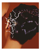 hair design 12